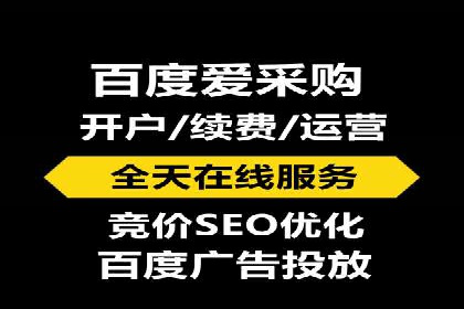 行业领先企业的SEM竞价推广策略揭秘